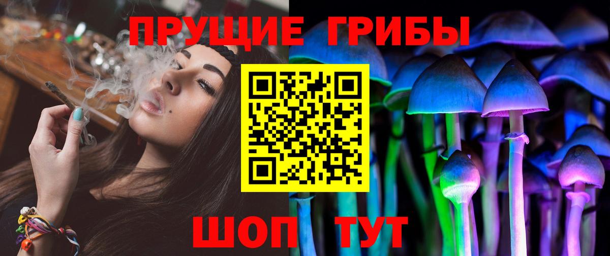 Галлюциногенные грибы Psilocybe  Вход с VPN  Новочеркасск 